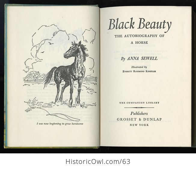 Vintage 2 Books in One the the Call of the Wild by Jack London and Black Beauty by Anna Sewell C1963 - #lZ0qxiAAEv0-6