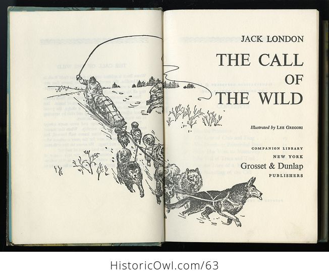 Vintage 2 Books in One the the Call of the Wild by Jack London and Black Beauty by Anna Sewell C1963 - #lZ0qxiAAEv0-2