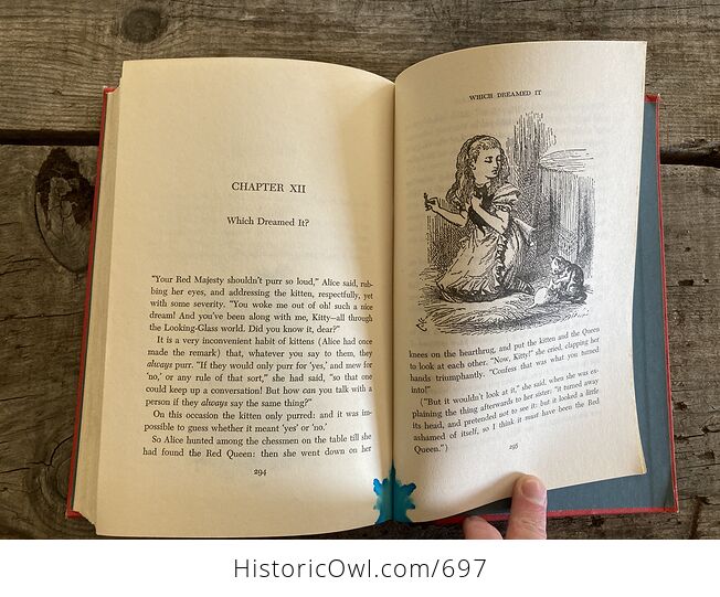 Vintage Alices Adventures in Wonderland and Through the Looking Glass Illustrated Book by Lewis Carroll Nelson Doubleday - #BEfx1ZD2j9s-12