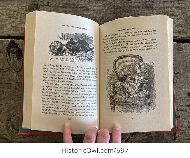Vintage Alices Adventures in Wonderland and Through the Looking Glass Illustrated Book by Lewis Carroll Nelson Doubleday - #BEfx1ZD2j9s-11