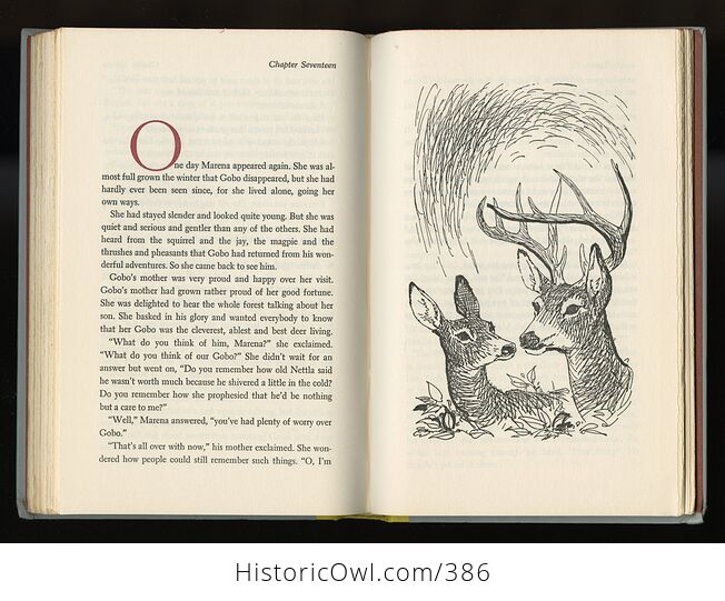 Vintage Bambi Illustrated Book by Felix Salten Junior Deluxe Editions C1956 - #JoMADFYVKUU-7