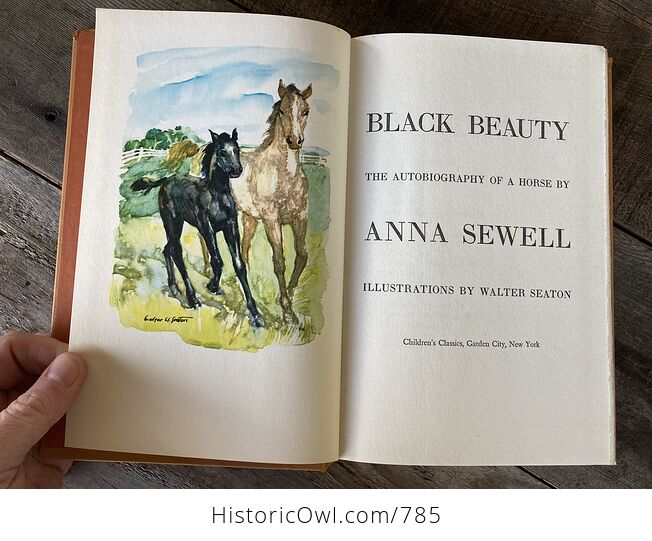 Vintage Black Beauty the Autobiography of a Horse Illustrated Book by Anna Sewell Childrens Classics C1954 - #R7jajLzIRQM-3