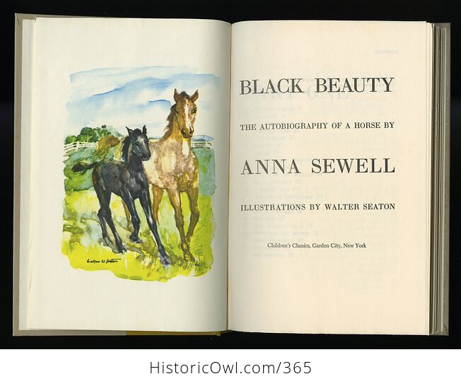 Vintage Black Beauty the Autobiography of a Horse Illustrated Book by Anna Sewell Childrens Classics C1954 - #zijVnk4mKIg-3