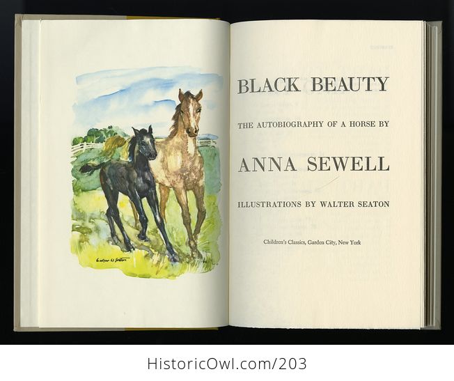 Vintage Book Black Beauty the Autobiography of a Horse by Anna Sewell Illustrated by Walter Seaton Childrens Classics C1954 - #PhqAjnLkOKw-6