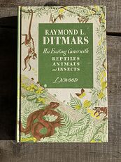 Vintage Book Raymond L Ditmars His Exciting Career with Reptiles Animals and Insects by L N Wood C1964 #q7SsJyDj268