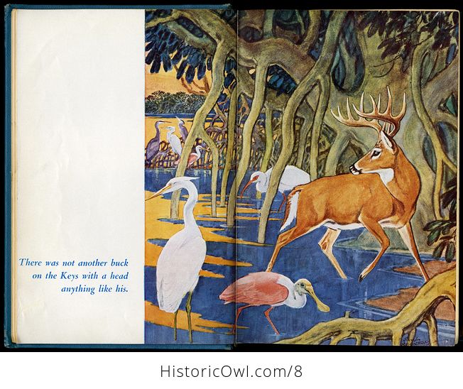 Vintage Book the Phantom Deer by Joseph Wharton Lippincott 1954 - #jOfUo1QJhAA-8
