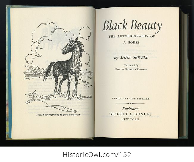 Vintage Books the Call of the Wild by Jack London and Black Beauty by Anna Sewell C1963 - #LRTqckKqz00-5