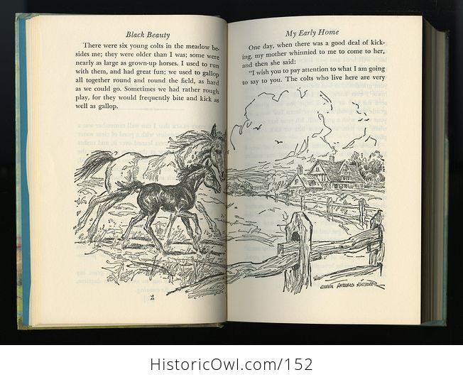 Vintage Books the Call of the Wild by Jack London and Black Beauty by Anna Sewell C1963 - #LRTqckKqz00-9