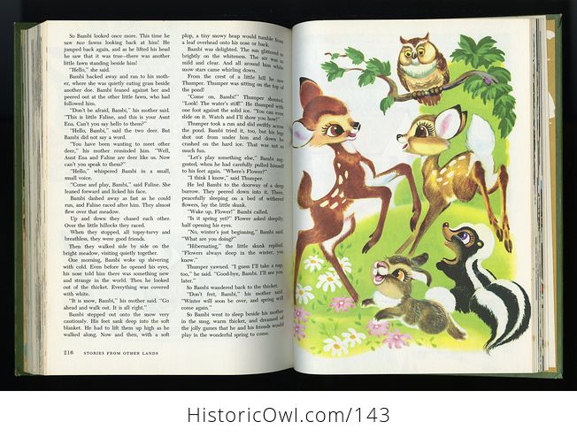 Vintage Childrens Book Walt Disneys Stories from Other Lands C1965 - #NotxoCWsjIw-8
