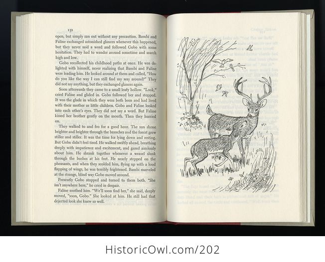 Vintage Illustrated Book Bambi by Felix Salten C1956 - #C0mZiCmDWsM-6