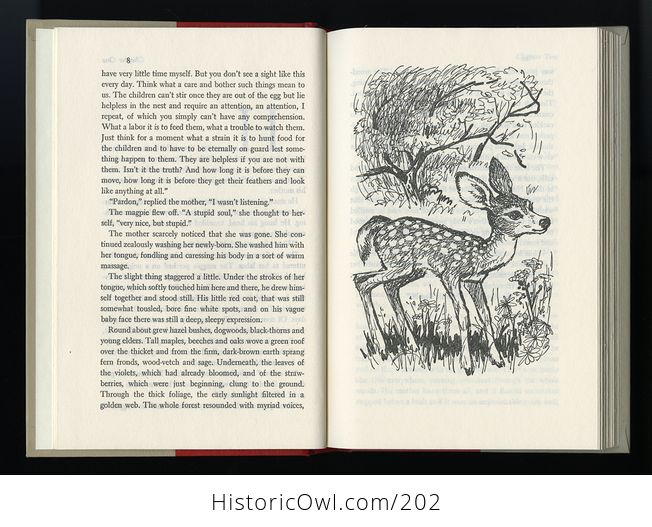 Vintage Illustrated Book Bambi by Felix Salten C1956 - #C0mZiCmDWsM-5