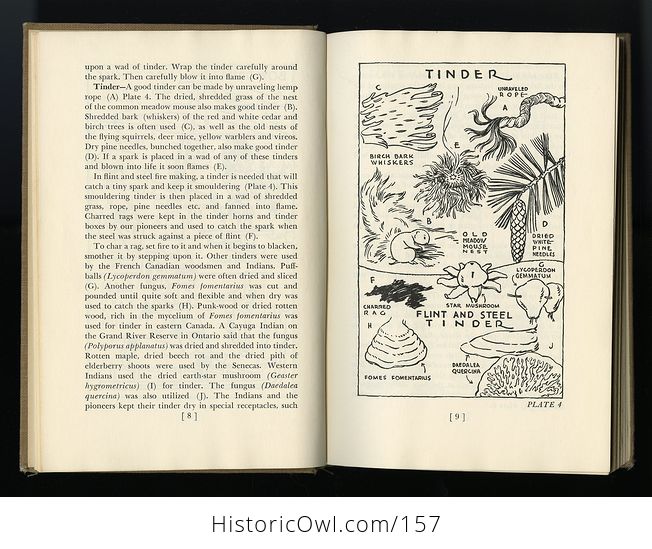 Vintage Illustrated Book Council Fires by Ellsworth Jaeger C1949 - #G82GEtcOLu8-2