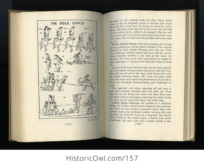 Vintage Illustrated Book Council Fires by Ellsworth Jaeger C1949 - #G82GEtcOLu8-4