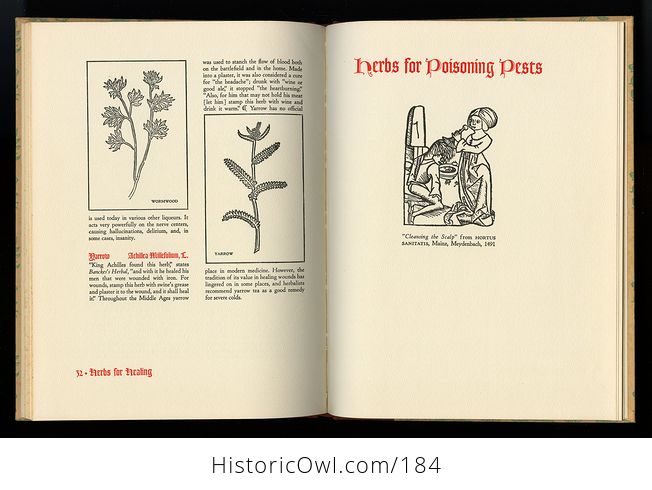 Vintage Illustrated Book Herbs for the Mediaeval Household for Cooking Healing and Divers Uses by Margaret B Freeman C1943 - #19kcrbtMnNE-6