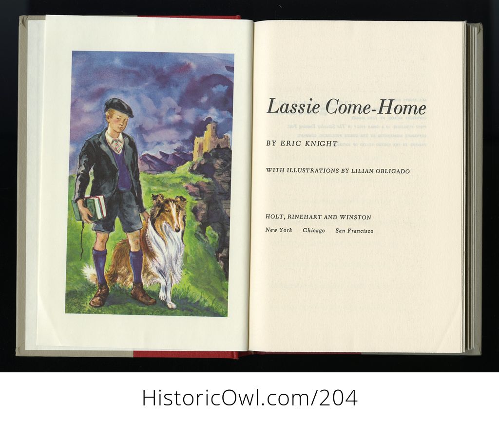 book lassie come home