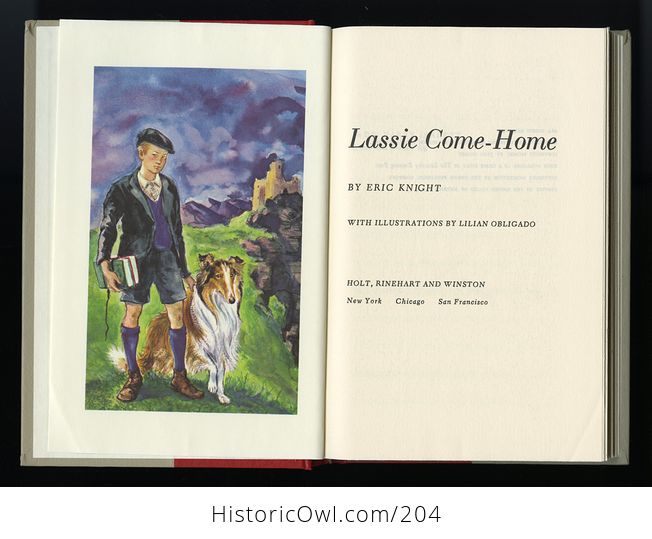 Vintage Illustrated Book Lassie Come Home by Eric Knight Holt Rinehart and Winston C1964 - #NWwRva2f1kY-5