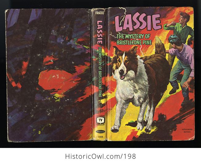 Vintage Illustrated Book Lassie the Mystery of Bristlecone Pine C1967 - #eXcQ8tiSsL8-2
