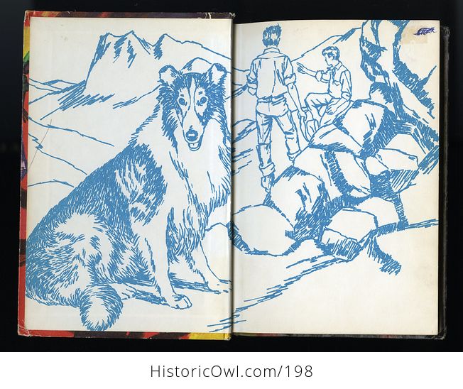 Vintage Illustrated Book Lassie the Mystery of Bristlecone Pine C1967 - #eXcQ8tiSsL8-3