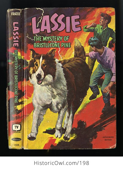 Vintage Illustrated Book Lassie the Mystery of Bristlecone Pine C1967 - #eXcQ8tiSsL8-1