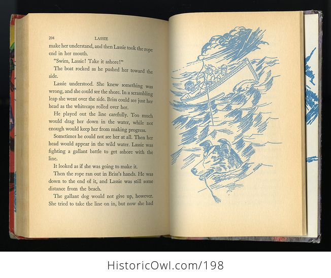 Vintage Illustrated Book Lassie the Mystery of Bristlecone Pine C1967 - #eXcQ8tiSsL8-7