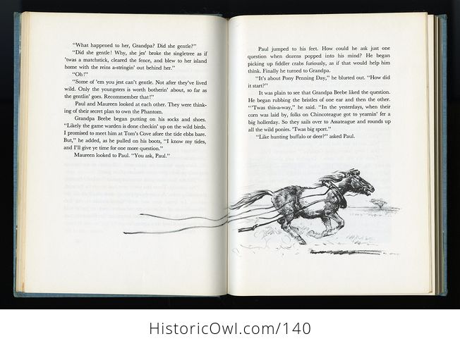 Vintage Illustrated Book Misty of Chincoteague by Marguerite Henry C1963 - #UsOjNQ3SR8M-10