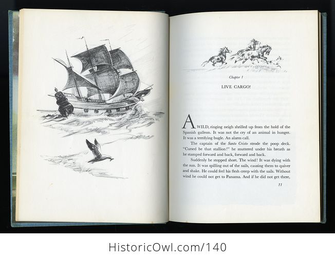 Vintage Illustrated Book Misty of Chincoteague by Marguerite Henry C1963 - #UsOjNQ3SR8M-8