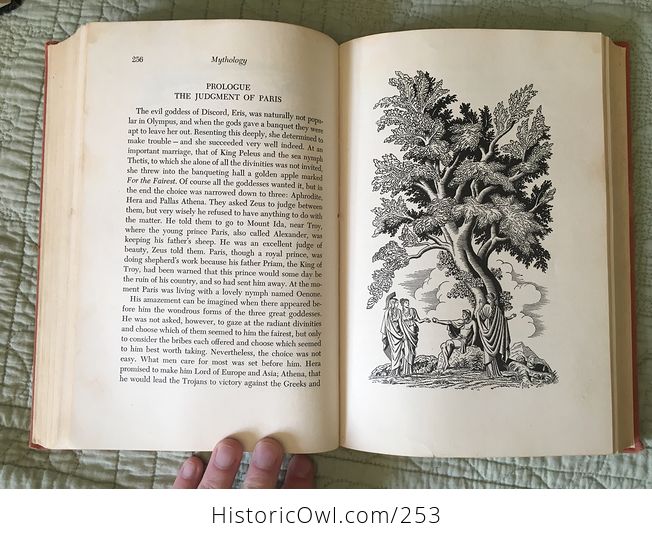 Vintage Illustrated Book Mythology by Edith Hamilton Copyright 1944 - #EJsYImJGc3I-4