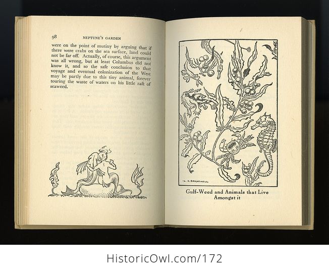 Vintage Illustrated Book Neptunes Garden by L R Brightwell C1947 - #tx9wxOfIDOA-6