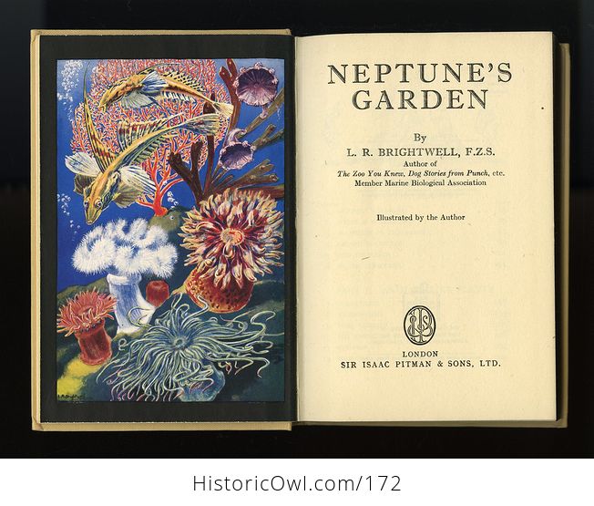 Vintage Illustrated Book Neptunes Garden by L R Brightwell C1947 - #tx9wxOfIDOA-16