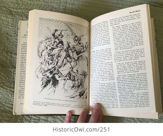 Vintage Illustrated Book the Encyclopedia of Witchcraft and Demonology by Rossell Hope Robbins Copyright 1959 - #pHlhG24EHqQ-9