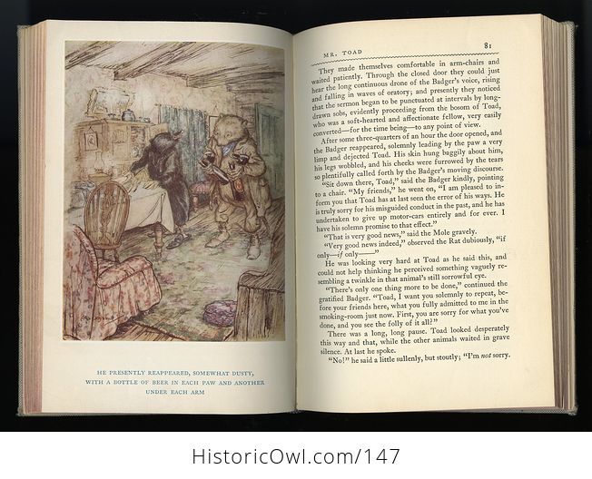 Vintage Illustrated Book the Wind in the Willows by Kenneth Grahame Illustrated by Arthur Rackham C1952 - #Af80yLBb63c-5