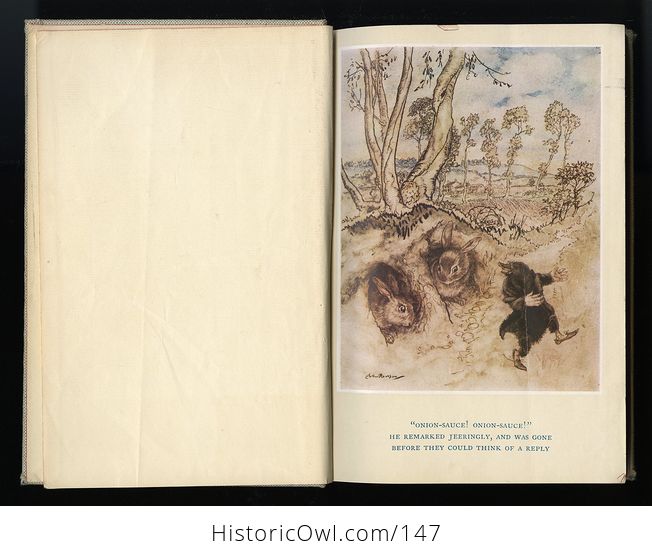 Vintage Illustrated Book the Wind in the Willows by Kenneth Grahame Illustrated by Arthur Rackham C1952 - #Af80yLBb63c-8