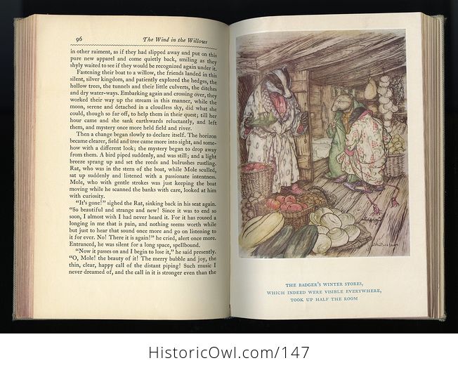 Vintage Illustrated Book the Wind in the Willows by Kenneth Grahame Illustrated by Arthur Rackham C1952 - #Af80yLBb63c-4