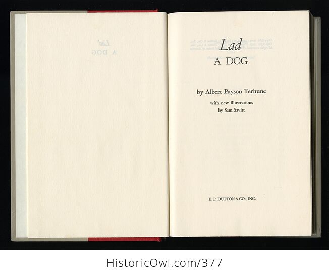 Vintage Lad a Dog Illustrated Book by Albert Payson Terhune Dutton C1959 - #ZOixoFj7bj4-3