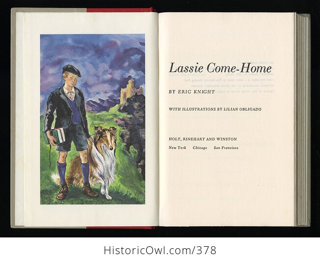 Vintage Lassie Come Home Illustrated Book by Eric Knight Holt Rinehart and Winston C1964 - #OIYQHc1MNiU-2