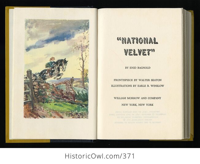 Vintage National Velvet Illustrated Book by Enid Bagnold William Morrow and Company C1963 - #mjFJ50wvGI8-3
