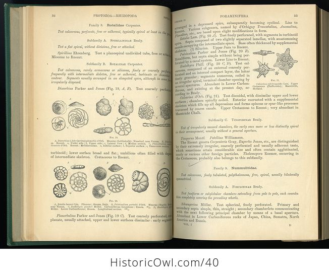 Vintage Text Book of Paleontology by Karl a Von Zittel Edited by Charles R Eastman C1913 - #xcyEgpHfrC4-7