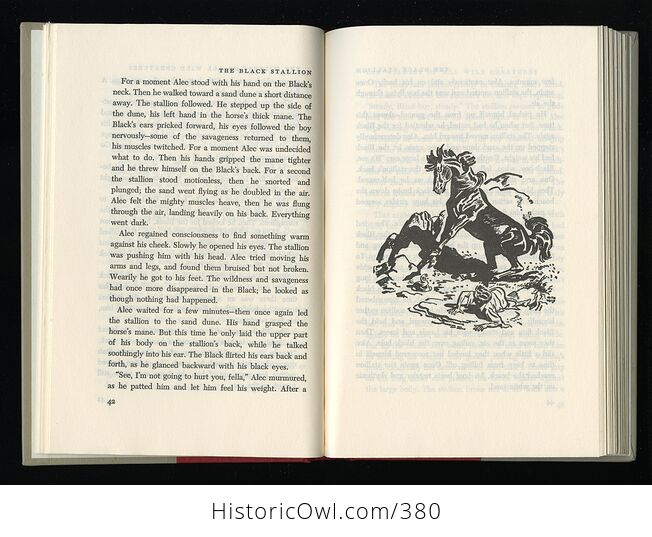 Vintage the Black Stallion Illustrated Book by Walter Farley Random House C1968 - #RJZ1Q0Zwmtk-6