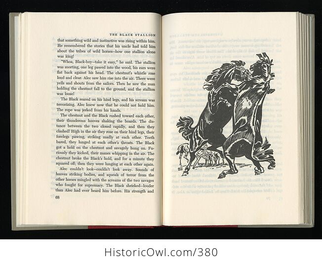 Vintage the Black Stallion Illustrated Book by Walter Farley Random House C1968 - #RJZ1Q0Zwmtk-5