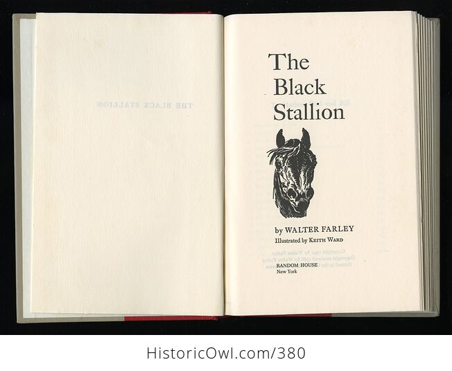 Vintage the Black Stallion Illustrated Book by Walter Farley Random House C1968 - #RJZ1Q0Zwmtk-4