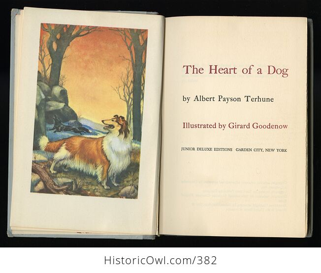 Vintage the Heart of a Dog Illustrated Book by Albert Payson Terhune Junior Deluxe Editions C1957 - #7aaeSWK3Llw-4