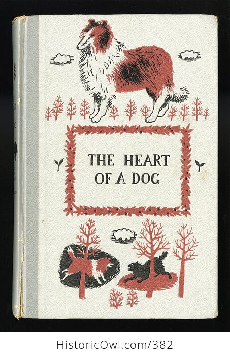 Vintage the Heart of a Dog Illustrated Book by Albert Payson Terhune Junior Deluxe Editions C1957 - #7aaeSWK3Llw-1