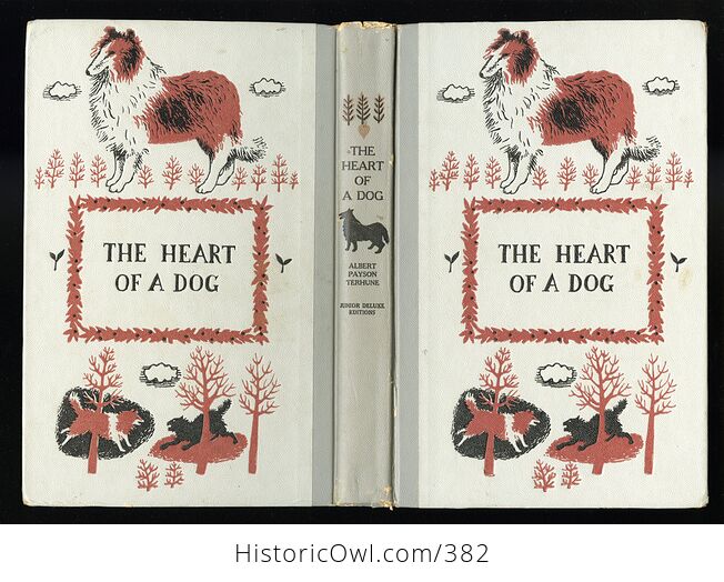 Vintage the Heart of a Dog Illustrated Book by Albert Payson Terhune Junior Deluxe Editions C1957 - #7aaeSWK3Llw-2