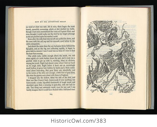 Vintage Treasure Island Illustrated Book by Robert Lewis Stevenson Junior Deluxe Editions C1954 - #xzObJ0oNijw-7