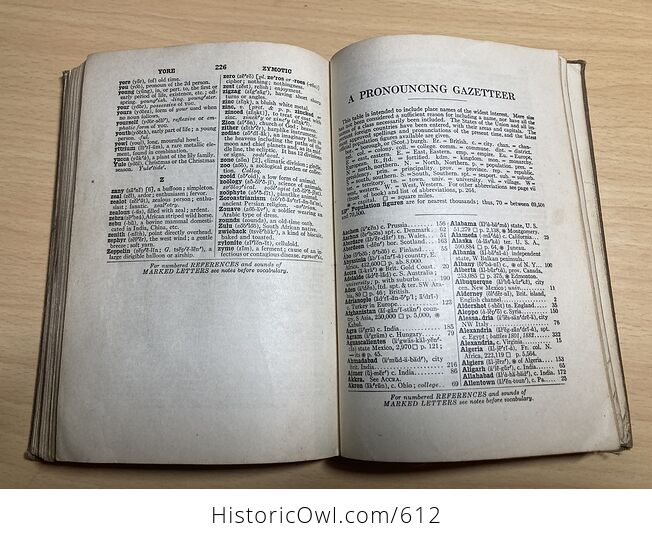 Websters New Handy Dictionary C1918 - #RuOuuVARskU-8