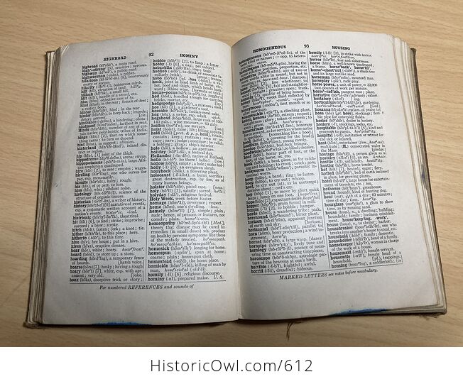 Websters New Handy Dictionary C1918 - #RuOuuVARskU-7
