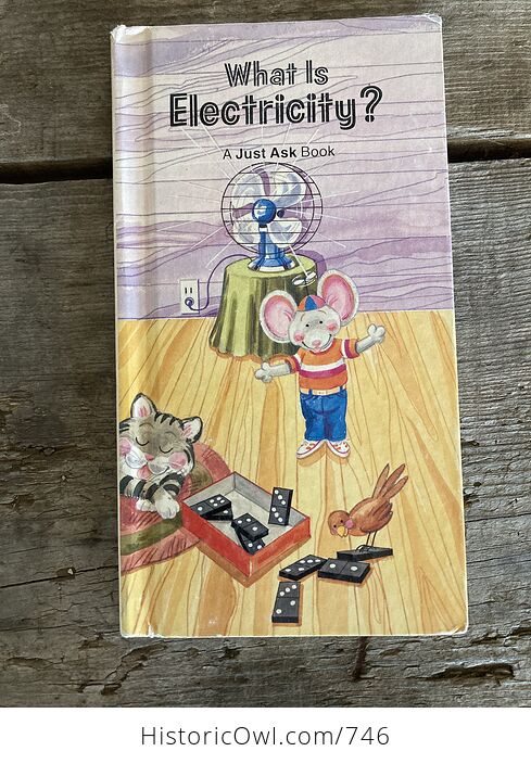 What Is Electricity a Just Ask Book by Chris Arvetis and Carole Palmer C1986 - #XVdgVKNPdqI-1